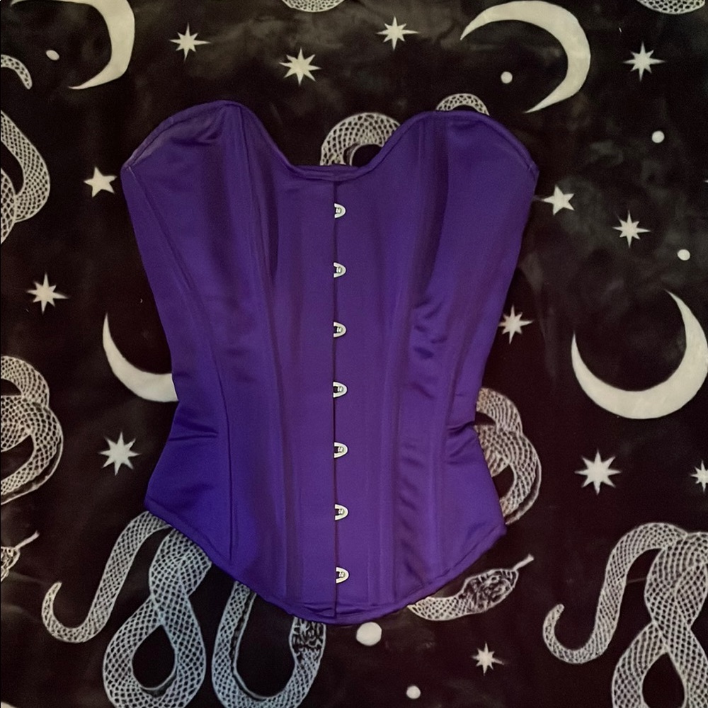 Stunning Royal Purple NBL Corset